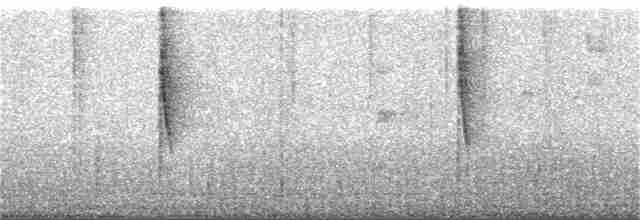 Свертушка сіроголова - ML203868781