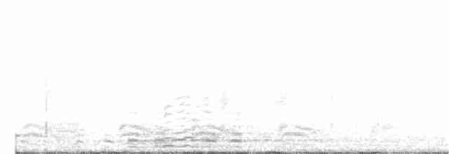 Cygne trompette - ML203876501