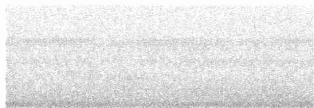 Дивоптах-шилодзьоб чорний - ML203883401