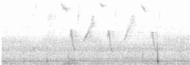 Bakır Belli Kolibri - ML203883641