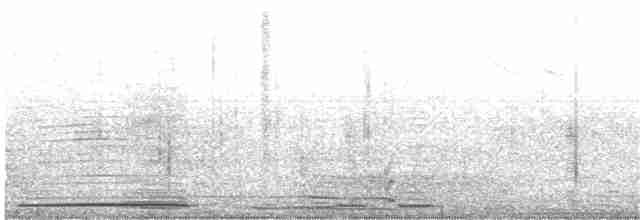 Cygne siffleur (bewickii) - ML203883791