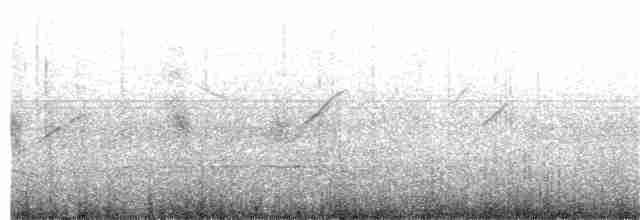 ハジロミドリツバメ - ML203883811
