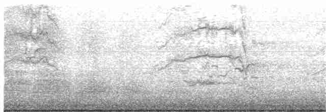 Gallinule sombre - ML203884061