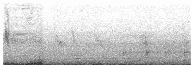 Горобець острівний - ML203884451