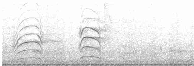 Büyük Kiskadi Tiranı - ML203884601