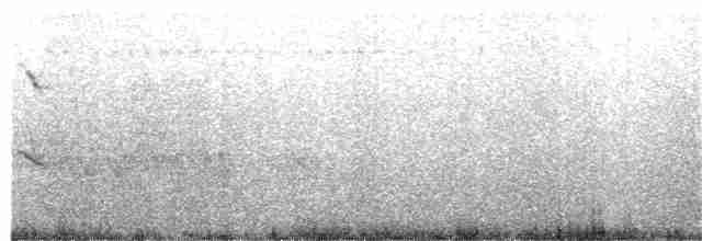 Eastern Black-eared Wheatear - ML203885181