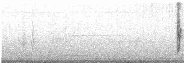 Dominik Palmiyekuşu - ML203886041