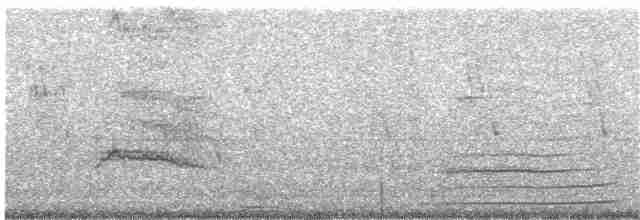 Common Gallinule (American) - ML203886051