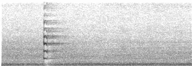 Common Gallinule (American) - ML203886061