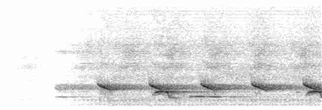 Малайская лесная куропатка - ML203886621