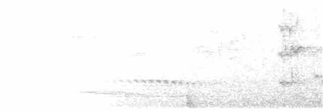 Австралийский совиный козодой - ML203886691