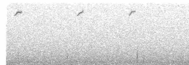 ハジロオーストラリアムシクイ（leuconotus） - ML203886731