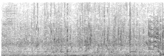 Гуска сіра (підвид anser) - ML203886991