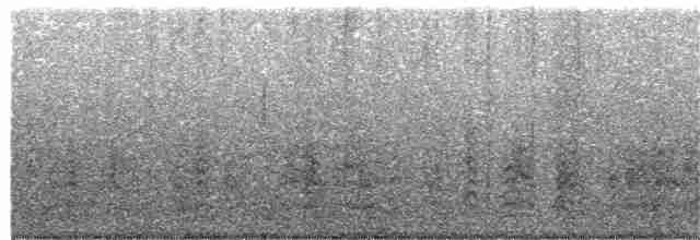 zoboun americký (ssp. niger) - ML203887031