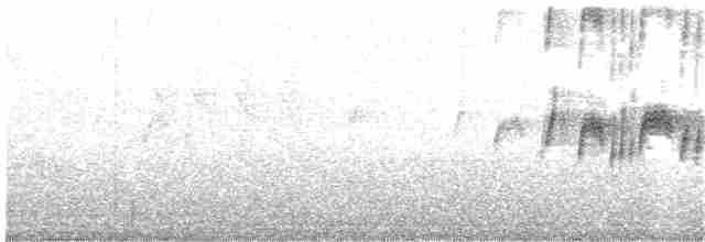 gråkongetyrann - ML203887241
