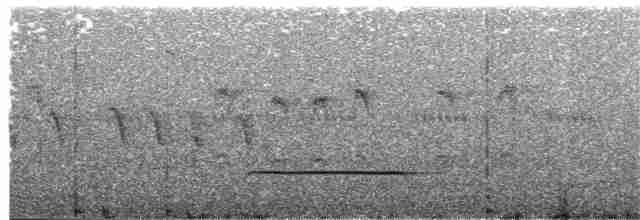 Kestane Karınlı Guguk - ML203887321
