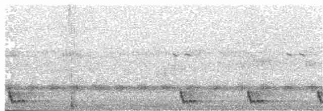 Large-tailed Nightjar - ML203887581