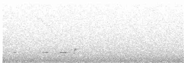 Хохлатая птица-колокольчик - ML203887601