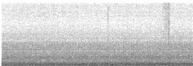 konipas luční (ssp. feldegg) - ML203888121