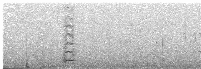 Сероголовый медосос - ML203888361