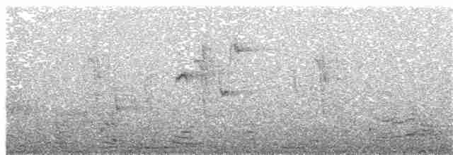 Острохохлый бронзовокрыл (plumifera/leucogaster) - ML203888371
