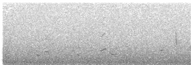 rosela černohlavá - ML203888401