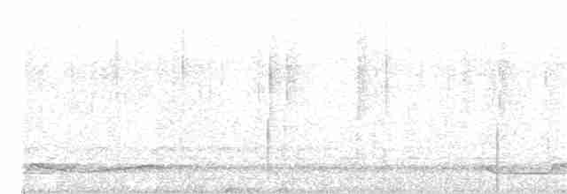 Silky-tailed Nightjar - ML203888721