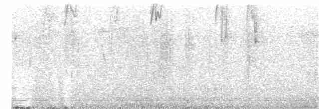 Alev Karınlı Dağ Tangarası (igniventris) - ML203888871