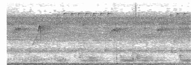 Тукан перуанський (підвид langsdorffii) - ML203888881