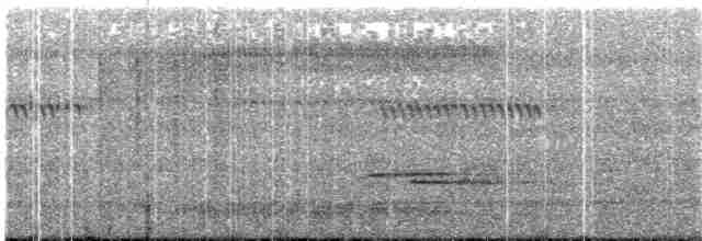 Eurylaime de Gould (groupe lunatus) - ML203889211