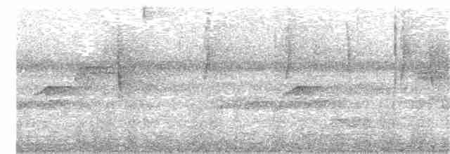 Лінивка-чорнопер жовтодзьоба - ML203889501
