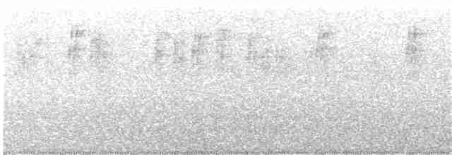 Turuncu Gerdanlı Günmeleği - ML203889901
