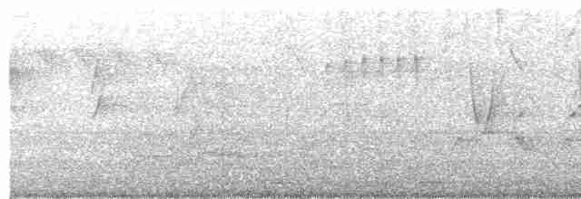 Colibri trompeur - ML203889931