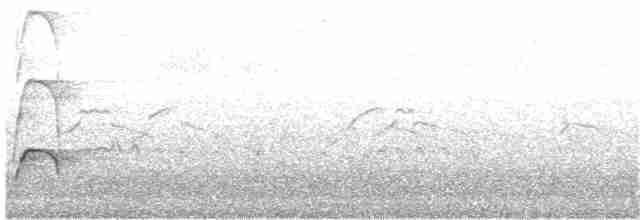 Eurasian Oystercatcher (Western) - ML203889961