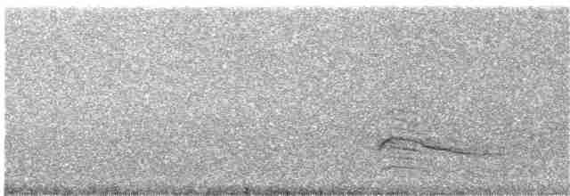 Common Buzzard (Western) - ML203890041