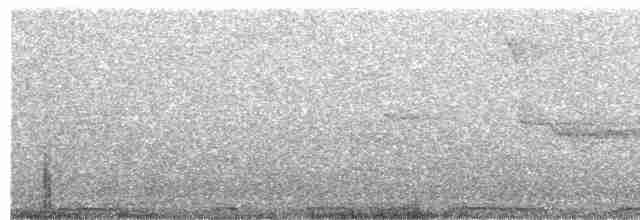 יונת ענק (קבוצה לבנת-צוואר) - ML203890161