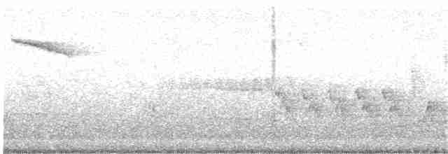 gråfluesnapper (striata gr.) - ML203890281