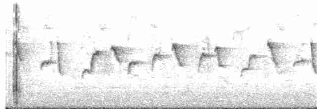 Common Chiffchaff (Siberian) - ML203890551