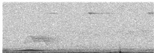 holub černošíjný - ML203891191