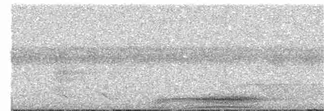 holub modroocasý - ML203891231