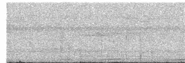 holub modroocasý - ML203891241
