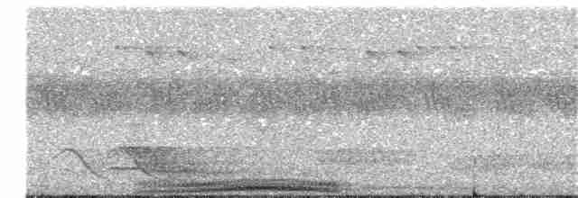 holub modroocasý - ML203891251