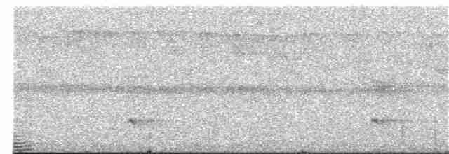 holub modroocasý - ML203891261