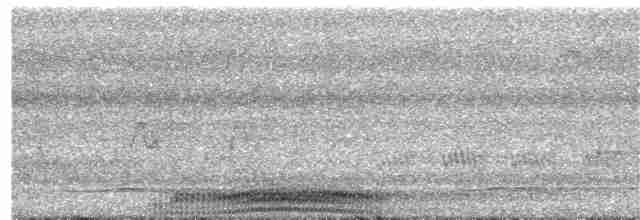 holub modroocasý - ML203891271