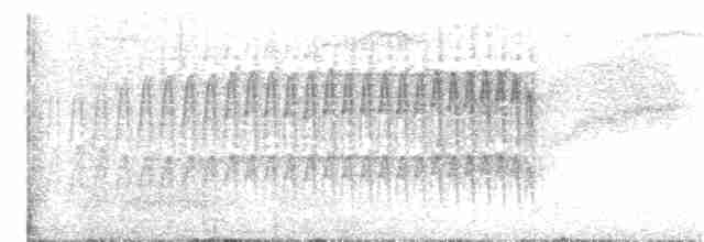 Puna Thistletail - ML203891651