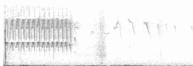 Puna Thistletail - ML203891661