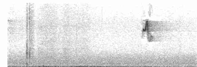 עלווית חורף קנרית - ML203891711
