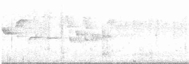 עלווית לבנת-גבות - ML203892101