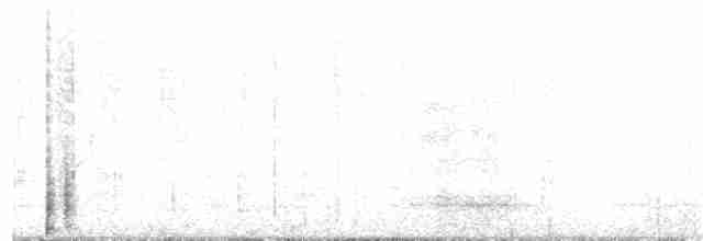 Western Black-eared Wheatear - ML203892211