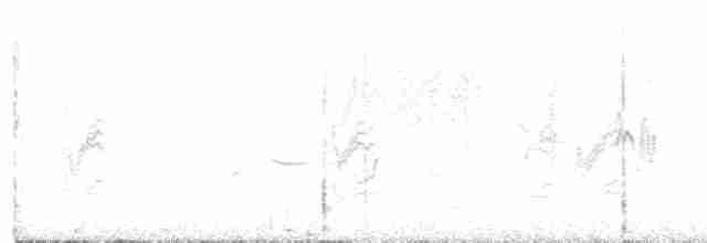 rosenvingefink (alienus) - ML203892241